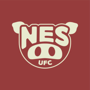 Logo do NES